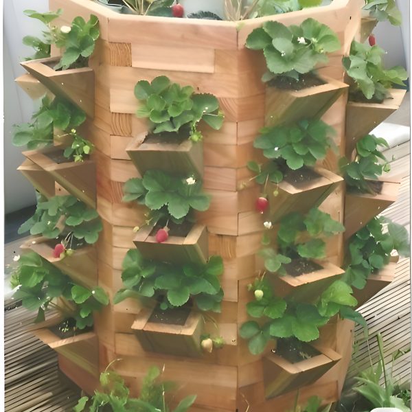 Ciclohuerto-Pequeno-r8uzlm0c62qajk87x28km8bxwbvnk8nfwk6n82wdbk