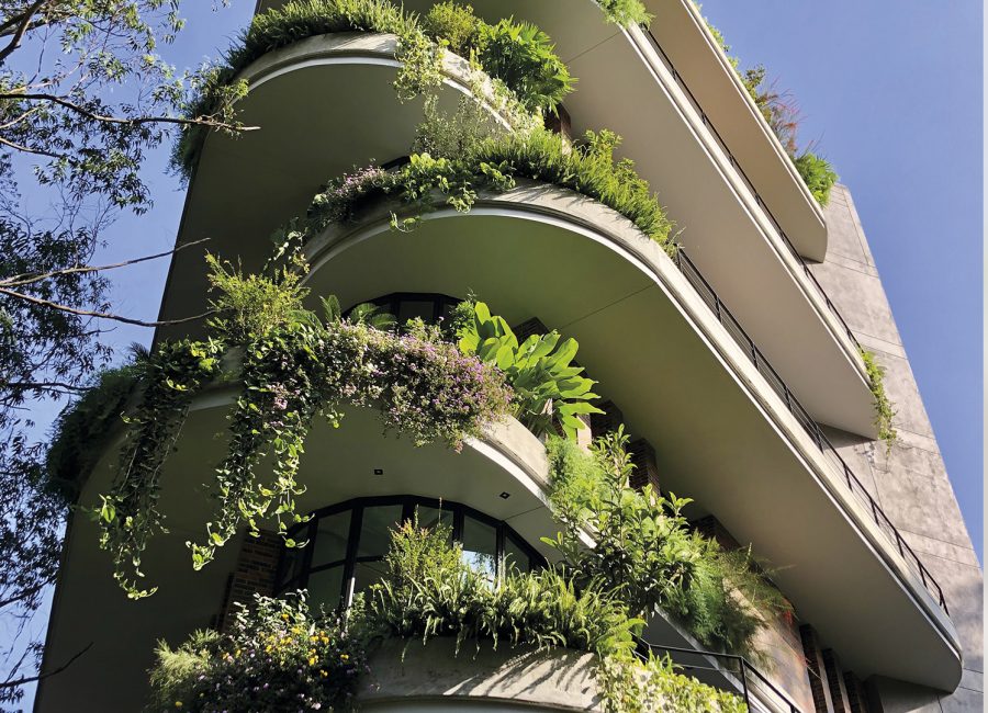 IMG_2304_a-qjdggeth3bs6sm8oxxmotsm9k3fdagm4eqprk3vfc4