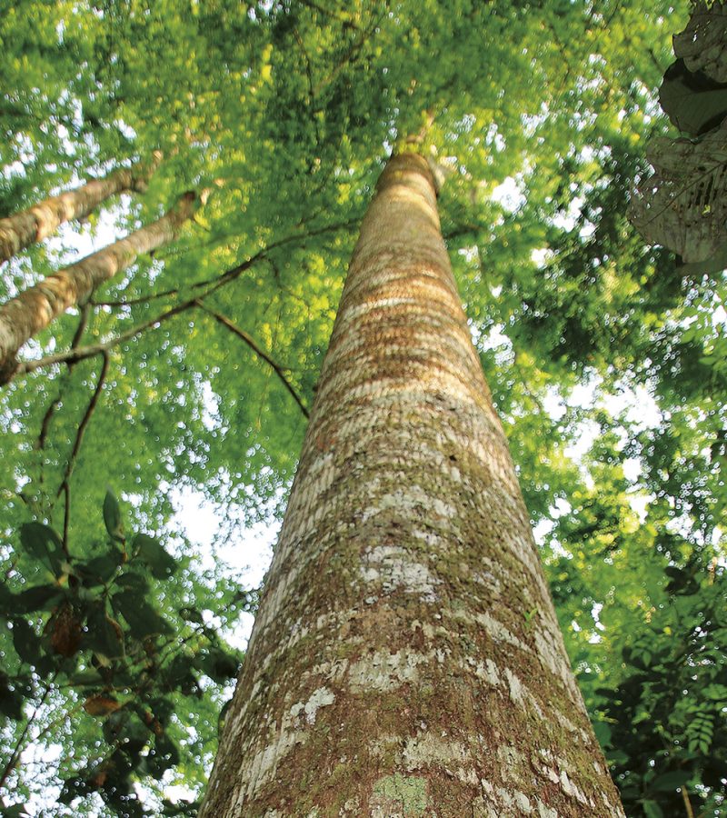 abarco2_-qjdf2o6w82yifj0y5a4u4n1u86y7rwuvryl19xzl7s